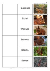Flip-Flap-Eichhörnchen-Ernährung.pdf
